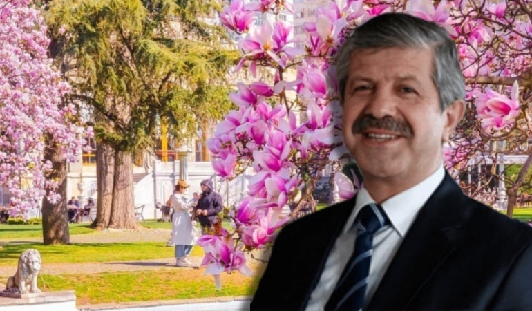 Prof. Dr. Maranki manolya bitkisinin faydalarını açıkladı