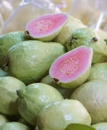 1762124874_Guava-meyvesinin-ici-renk-degistiriyor-ve-surprizler-sunuyor.jpg