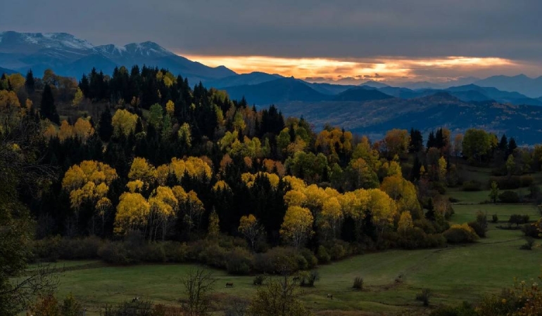 Karadeniz yaylalarının eşsiz görünümü keşfedilmeyi bekliyor