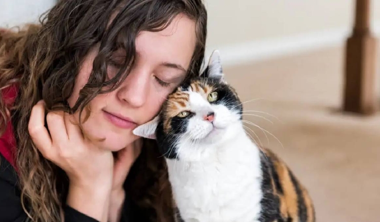 Kedilerin insanları izleme ve yalama davranışları